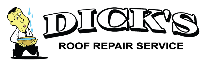 Dicks Logo Black Nophone